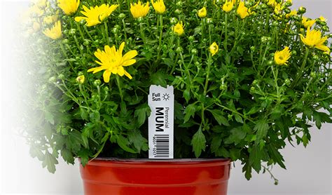 rfid nursery tags|horticulture tags for sale.